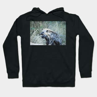 Two Curious Hyena Cubs Hoodie